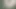 1dcp.mp4