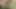 Ateşli lezbiyen kızlar banyoda birbirlerinin amlarını yalıyor