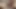 Wife Begs Her Stepsister to Take Huge Virile Breeding Creampie from Husband because She Can't Get Pregnant