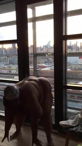 O şişman götü salla 2