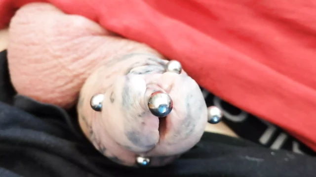 sondaj