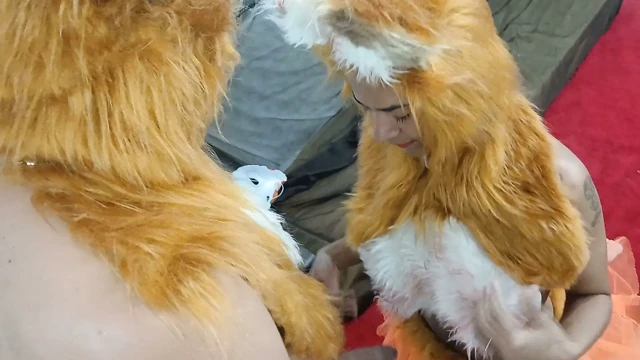 Tilki çift cosplay seks