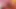 Ateşli lezbiyenler dildo emiyor ve yatakta sikişiyor