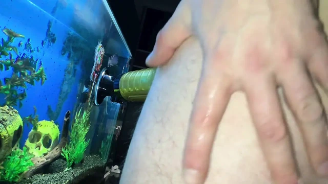 El fenerimi sikiyorum