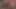 Mikropenis için karısı tarafından Sph