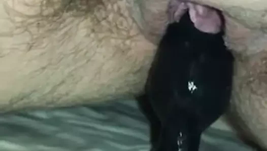 chubby KEDİ sürmek fiş