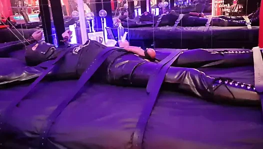 Missladytina, Merkez Bankası, naylon, esaret, domina, balıkçıl, femdom