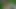 Seksi pislikler içinde şehvetli açık seks