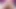 Sıska anal dildo web kamerası