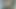 Fifi na web kamerası 2