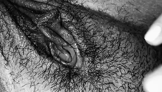 alma kıllı KEDİ ıslak