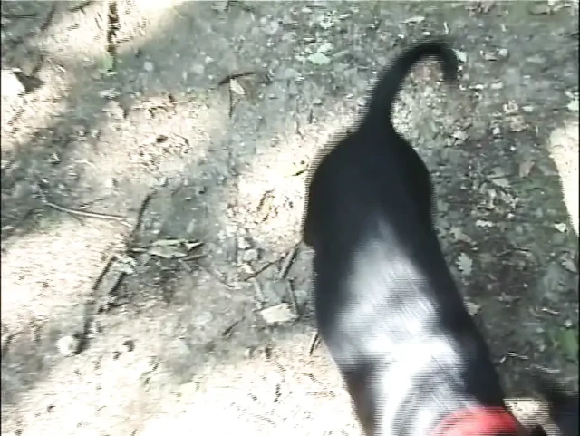 En Çok Yalayan Fahişeler