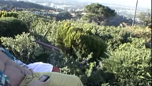 Çeşitli sanatçılar - cumswapping manşetleri 17