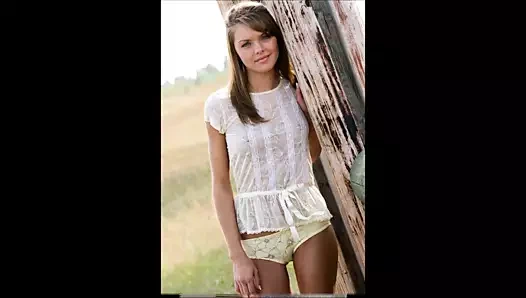 3399 renginde kaybolan vanilya