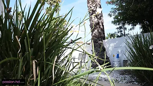 Minyon tavşan yumurta, yarak ve döl avlıyor