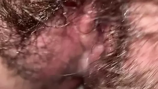 Kali cole - tüylü kedi: kremsi süre işiyor