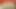 Kitkat8
