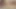 Sarışın lezbiyenler amcık yalıyor dildo sikiliyor