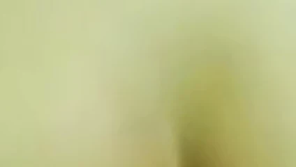 cojiendo con la chaparra 2