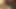 Yabancı Çekici Kedi Seviyor