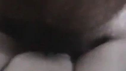 nüfuz nemli ve şaşırtıcı KEDİ