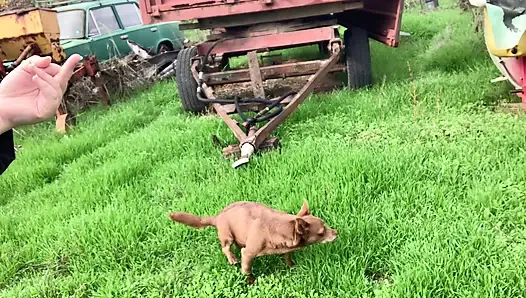 Doğada çıplak yürüyor