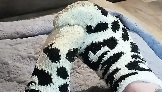 Çoraplarımı çalmayı bırak