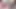 Yeni öğrenci külotu dolduruyor öpüşme için 4k tenga yumurta sürprizi