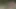 kedi adam horoz emmek için seviyor - açık gay oral seks