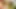 Üvey kızımı beceriyorum çünkü o bana karımla ilgili çok şey hatırlatıyor - ispanyolca porno