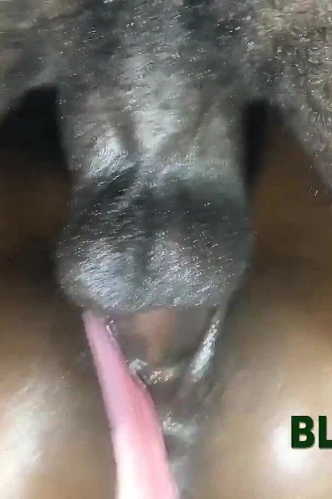 Küçük memeli Afrikalı ateşli kız sıkı götünü ve ıslak amcığını açıyor