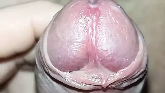 Marchewka I Ogorek W Tylku Meza