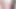 Asya tgirl ping koyar üzerinde horoz asılarak gösteri ve cumshot
