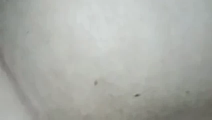 eşine mutlu yıllar