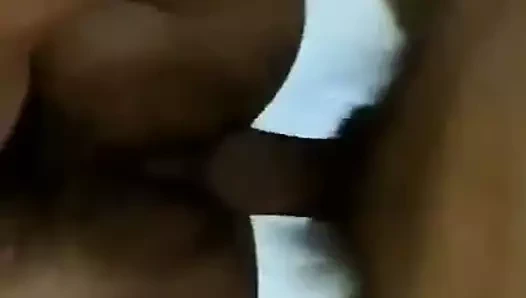 zevk büyükanne kedi