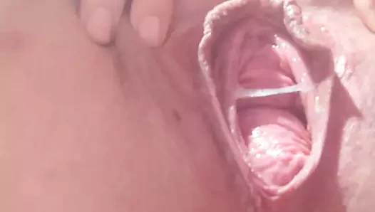 Kedi yayılma ve kedi krem ​​gösteri