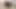 Ateşli orta yaşlı seksi kadın maxine x yapay penisle sikişiyor ve külotlu çorapta yarak emiyor!