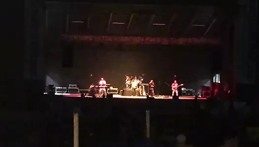 Domuz eti ve şerbetçiotu konseri