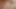 Kısa şortlu kedi porno izliyor ve klitorisini ovuyor.