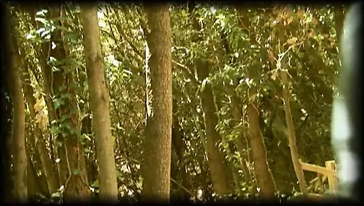 Güzel memeli azgın klasik orta yaşlı seksi kadın amında dildoyla klitorisine masaj yapıyor