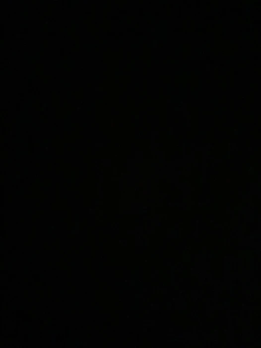 Bütün gece kocaman beyaz yarığın üzerinde twerk yapabilir miyim?