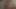 Büyük yarak emiyor anal sikiliyor