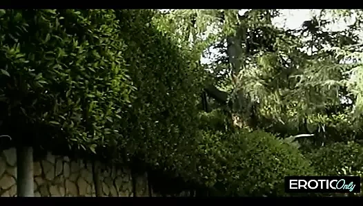 Meme çılgınlığı: unutulmaz eğlence