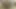 Seksi büyük götlü dövmeli esmer üçlü grup sekste sikiliyor