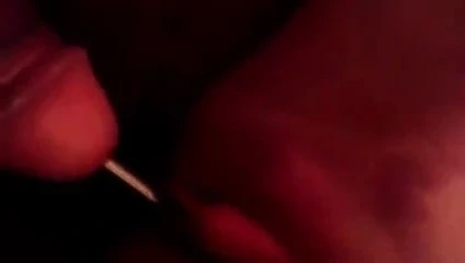 kelly ile sapıkça şeyler