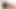 Transerotica ts chanel santini yapar sevimli lena kelly boşalmak