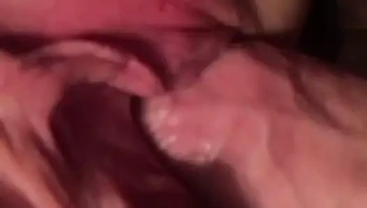 lanet benim yaramaz kuzenler ıslak KEDİ