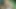Desi Bangladeshi Girl Sawar Has Sex At Home, ইচ্ছামত ডগি স্টাইলে চুদে দিলাম! Sex Video
