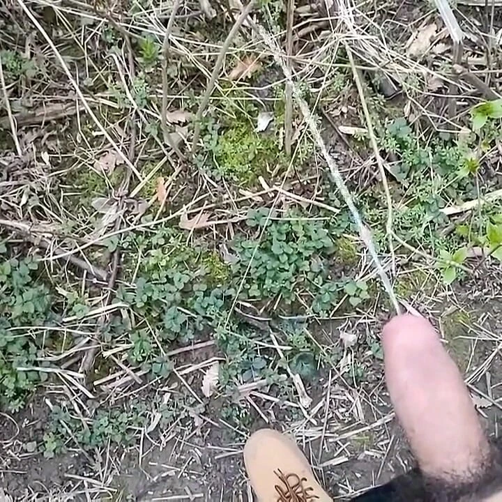Sünnetsiz kıllı yarakla ağır çekimde uzun işeme açık havada