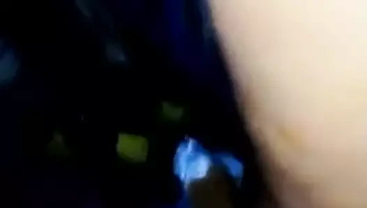 Dominika kadın gösterisi. kedi formu cumhuriyet dominika